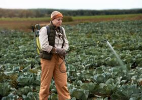 What You Need to Look for in Your Grain Fumigation Provider